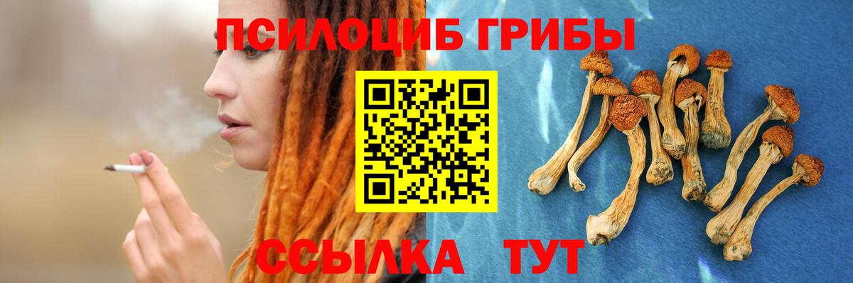 Галлюциногенные грибы Psilocybe Батайск