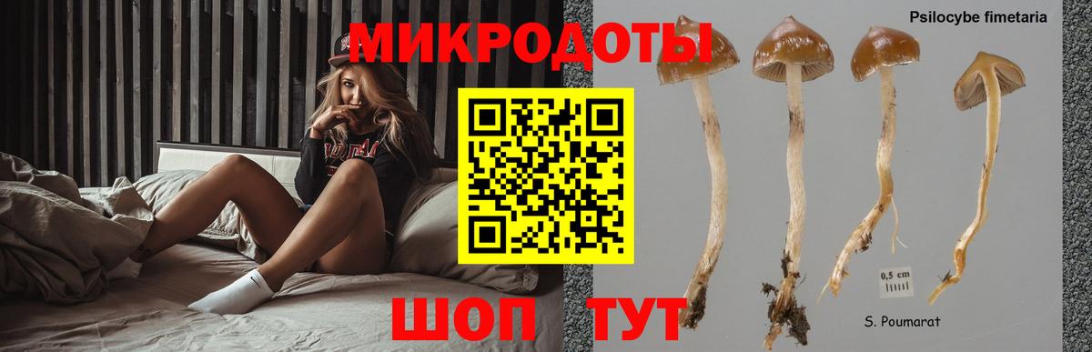 Галлюциногенные грибы Cubensis  Вход с VPN  Батайск 